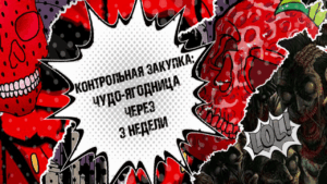 Клубника из партнерки. Что с ней стало спустя 3 недели