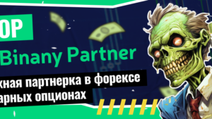 Обзор Binany Partner — надежная партнерка в форексе и бинарных опционах