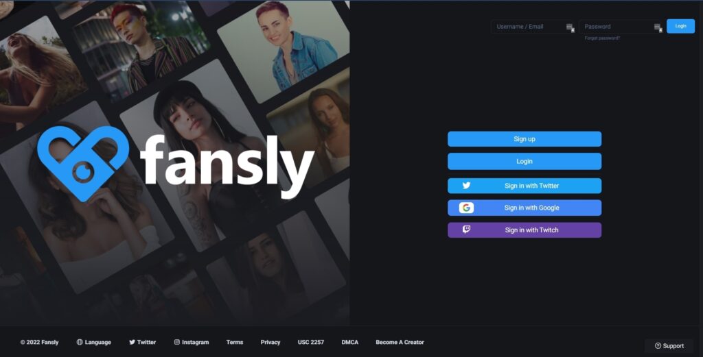 Как и сколько можно заработать на Fansly: подробная инструкция
