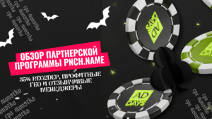 Обзор партнерской программы PNCH.NAME: 35% reg2dep, профитные ГЕО и отзывчивые менеджеры