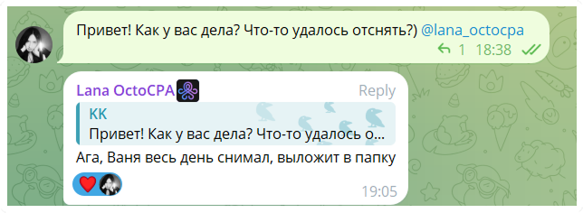 Бокс с малолетками, тапание хомяка и куча контента: как проводит свою неделю SMM OctoCPA