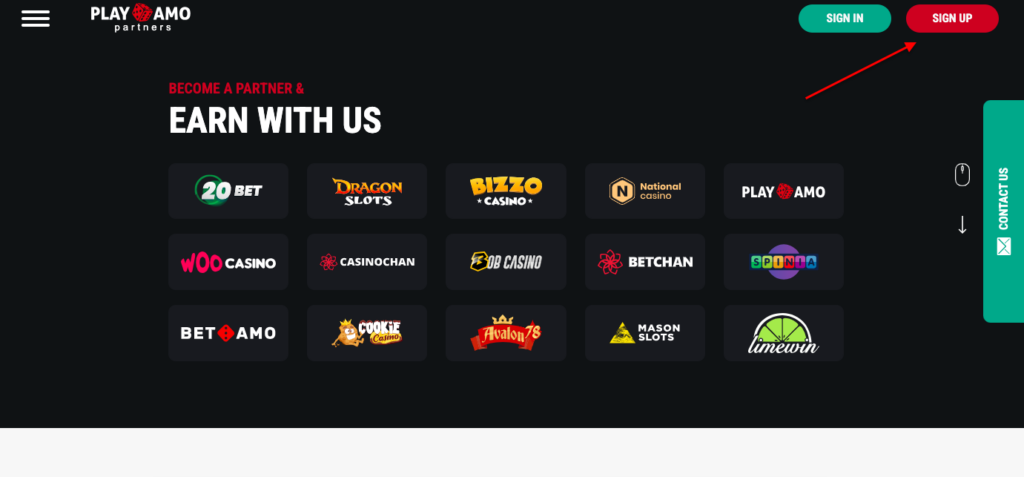 15 инхаус-брендов на гемблинг и world-wide трафик: обзор PlayAmo Partners