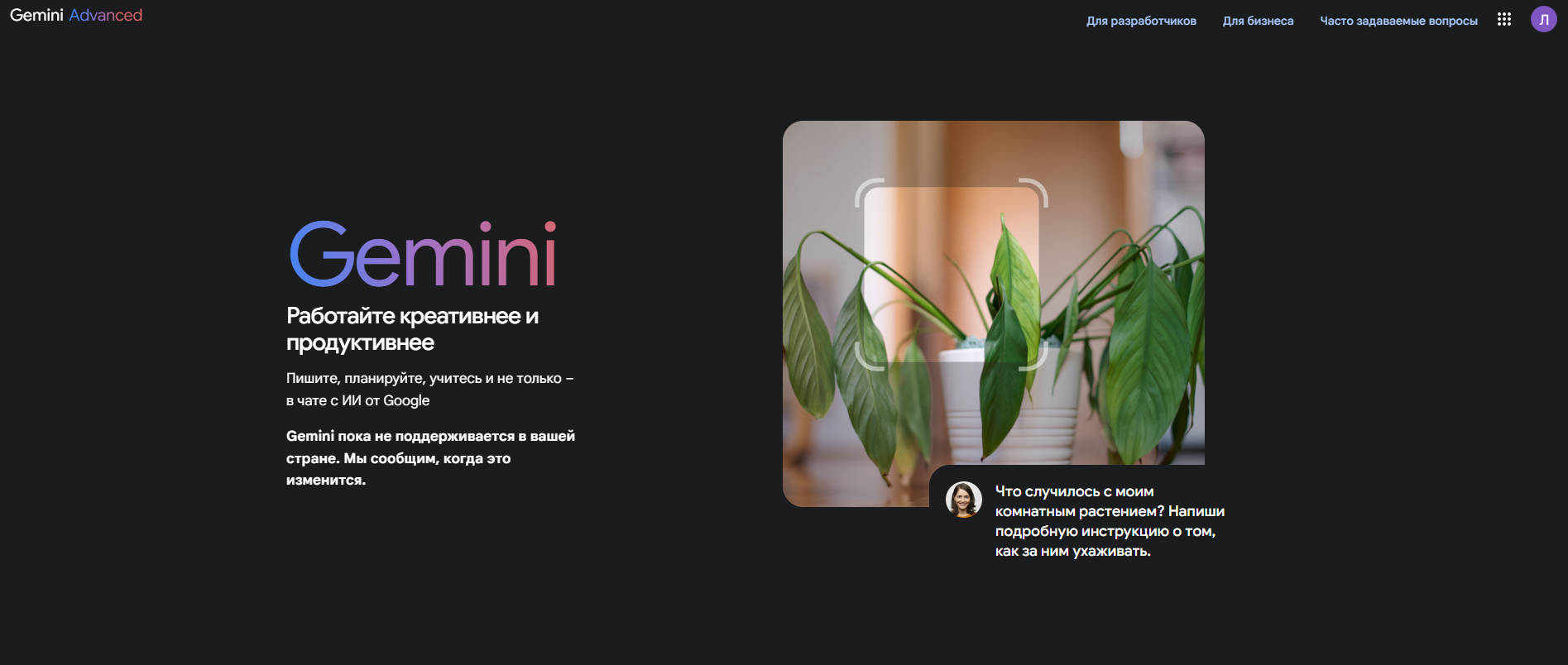 Gemini