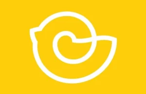 Gnezdo