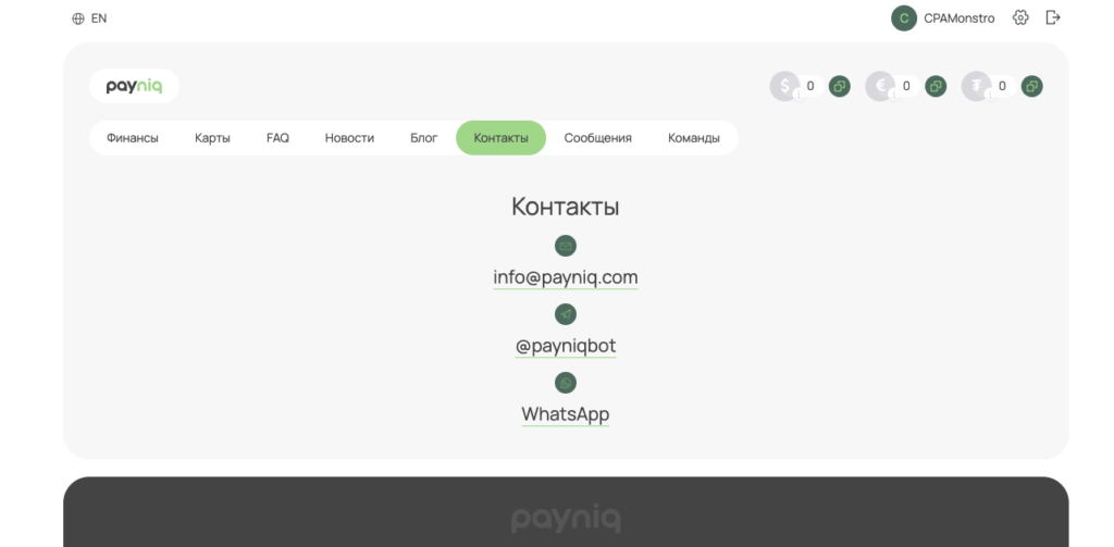 Работа в команде, надежные BINы и низкие комиссии — обзор сервиса виртуальных карт Payniq