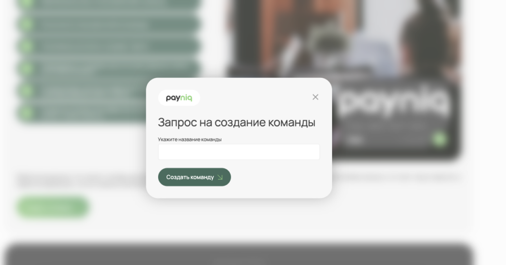 Работа в команде, надежные BINы и низкие комиссии — обзор сервиса виртуальных карт Payniq