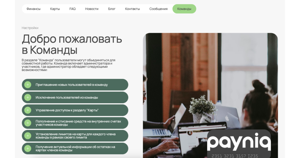Работа в команде, надежные BINы и низкие комиссии — обзор сервиса виртуальных карт Payniq