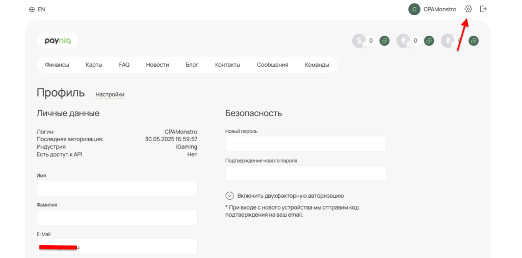 Работа в команде, надежные BINы и низкие комиссии — обзор сервиса виртуальных карт Payniq