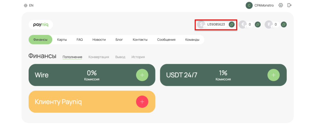 Работа в команде, надежные BINы и низкие комиссии — обзор сервиса виртуальных карт Payniq