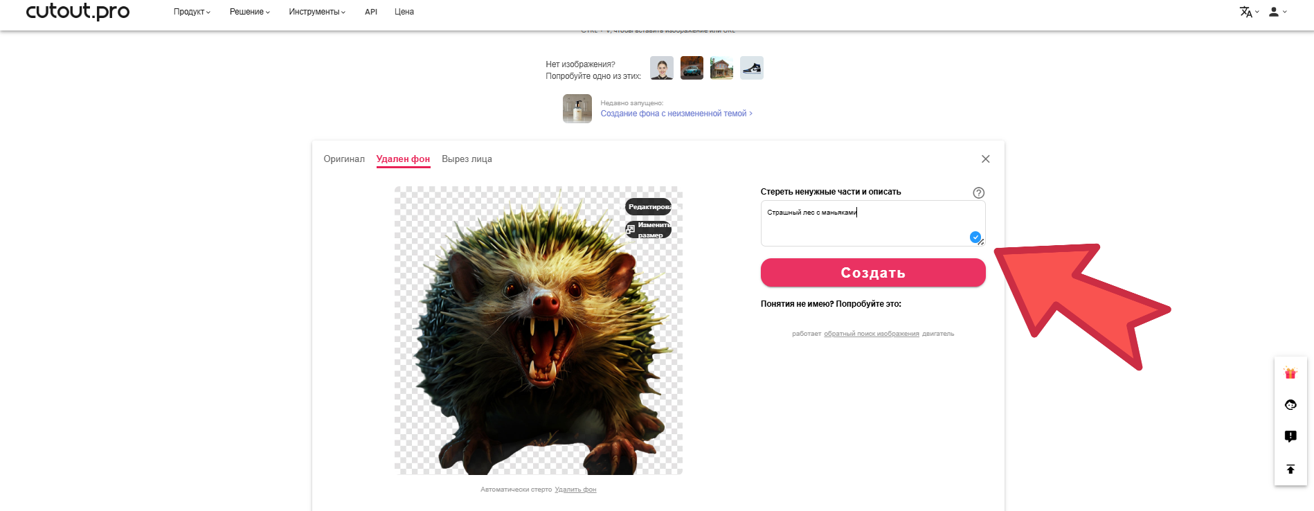 пример рассеивания фона в Cutout Pro