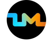 ZM Team logo