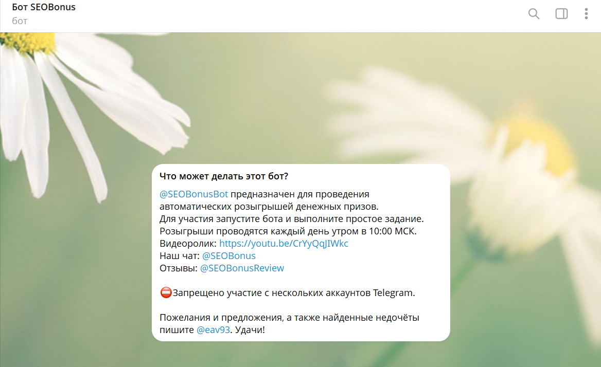 Что такое SEOBonus бот