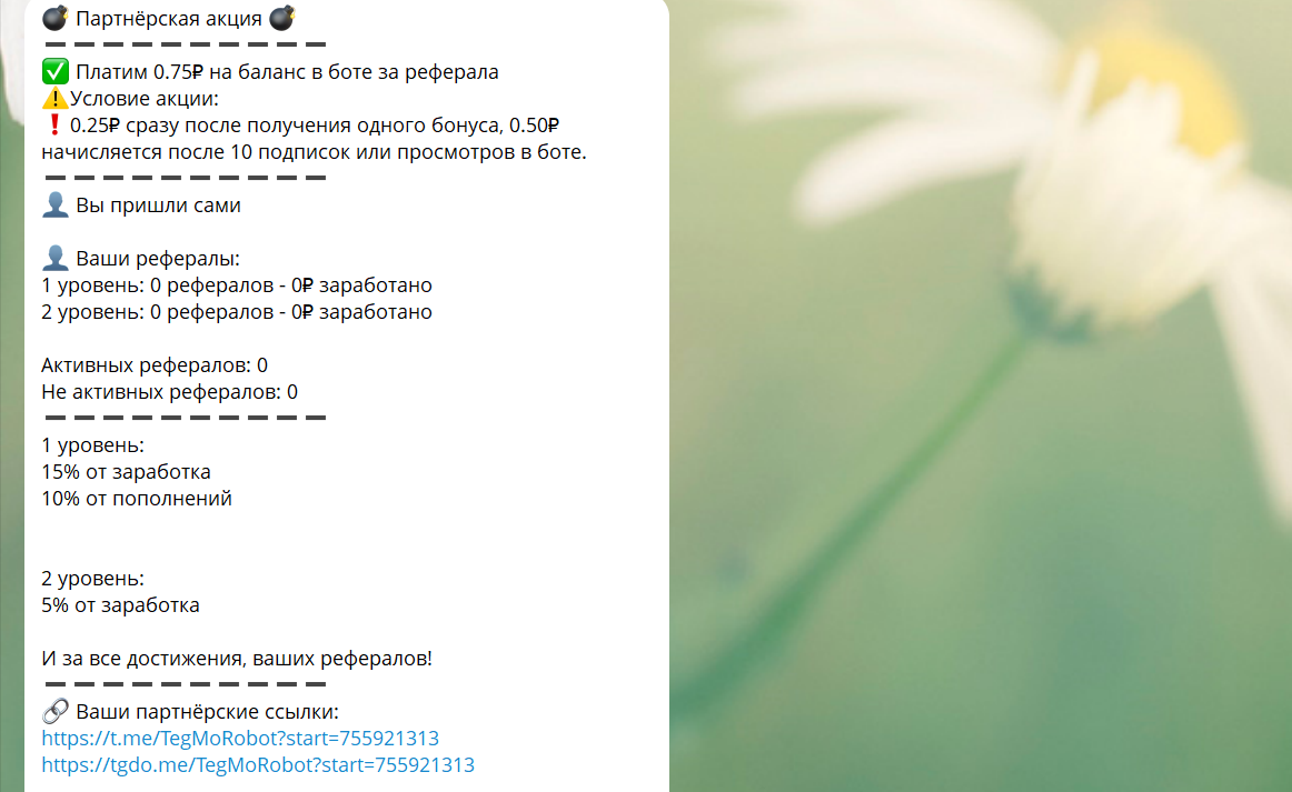 Условия реферальной программы в боте TEGMO