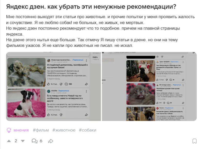 Персональная лента Дзена: как включить и подстроить под себя