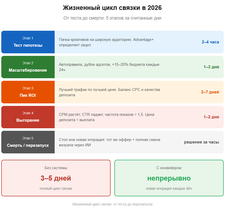 Почему умирают ваши связки в гемблинге: гайд по выживанию для арбитражника в 2026 году